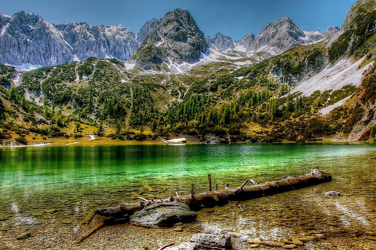 ABCC Austria10