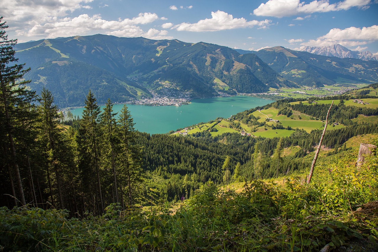 ABCC Austria7