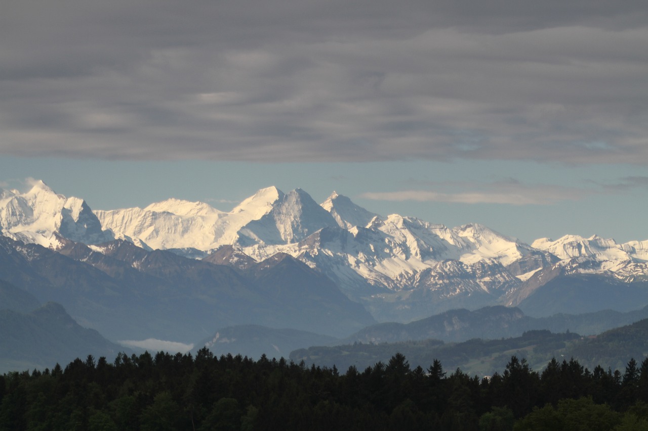 ABCC Swiss7