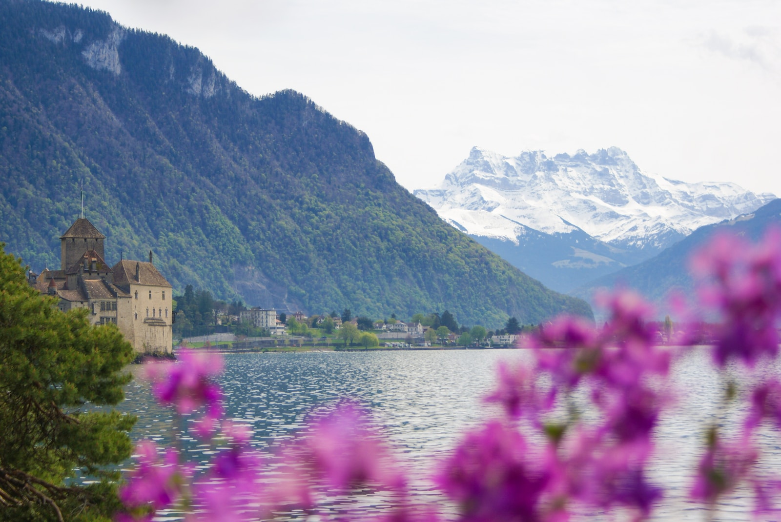 Photo by Ruben Vermeulen a lake with mountains in the background and purple flowers in the foreground