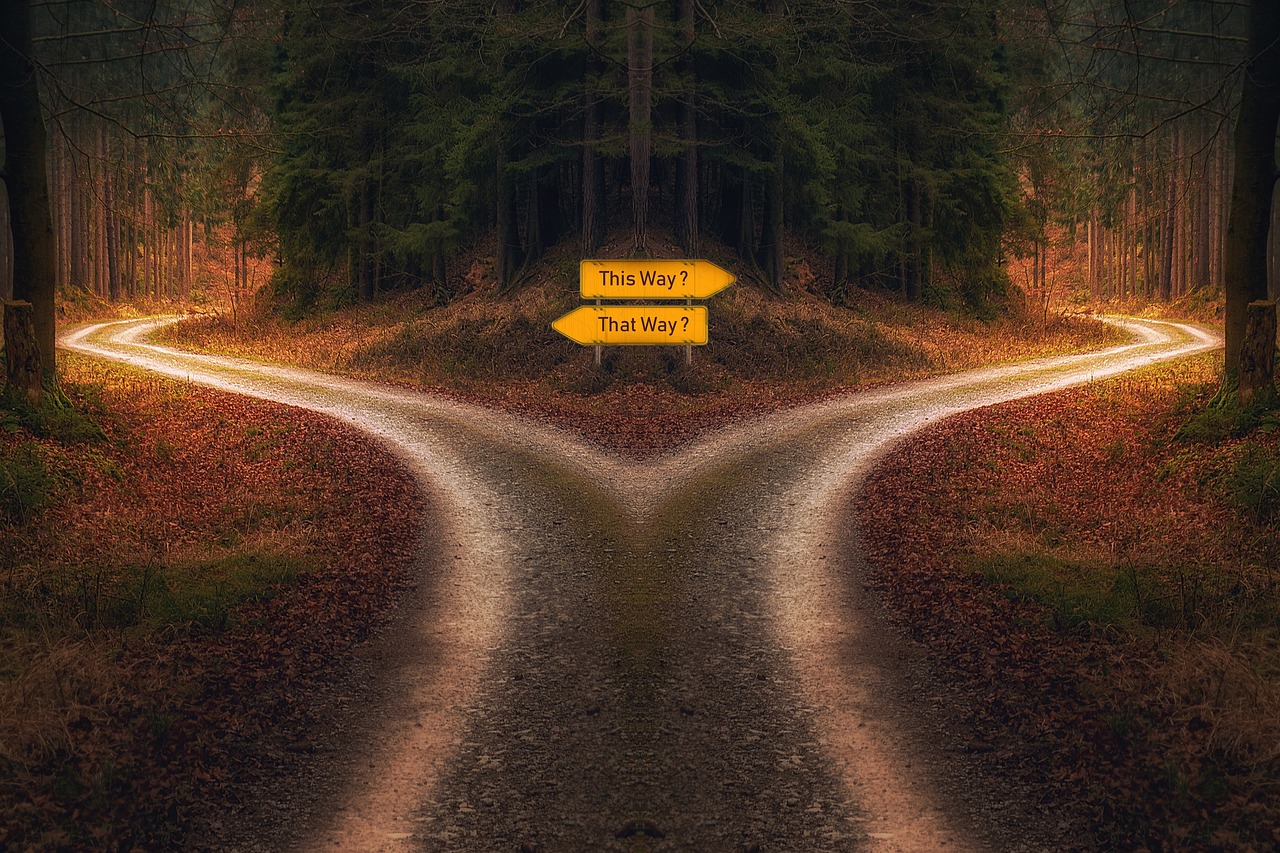 Photo by PixxlTeufel decision, path, signpost