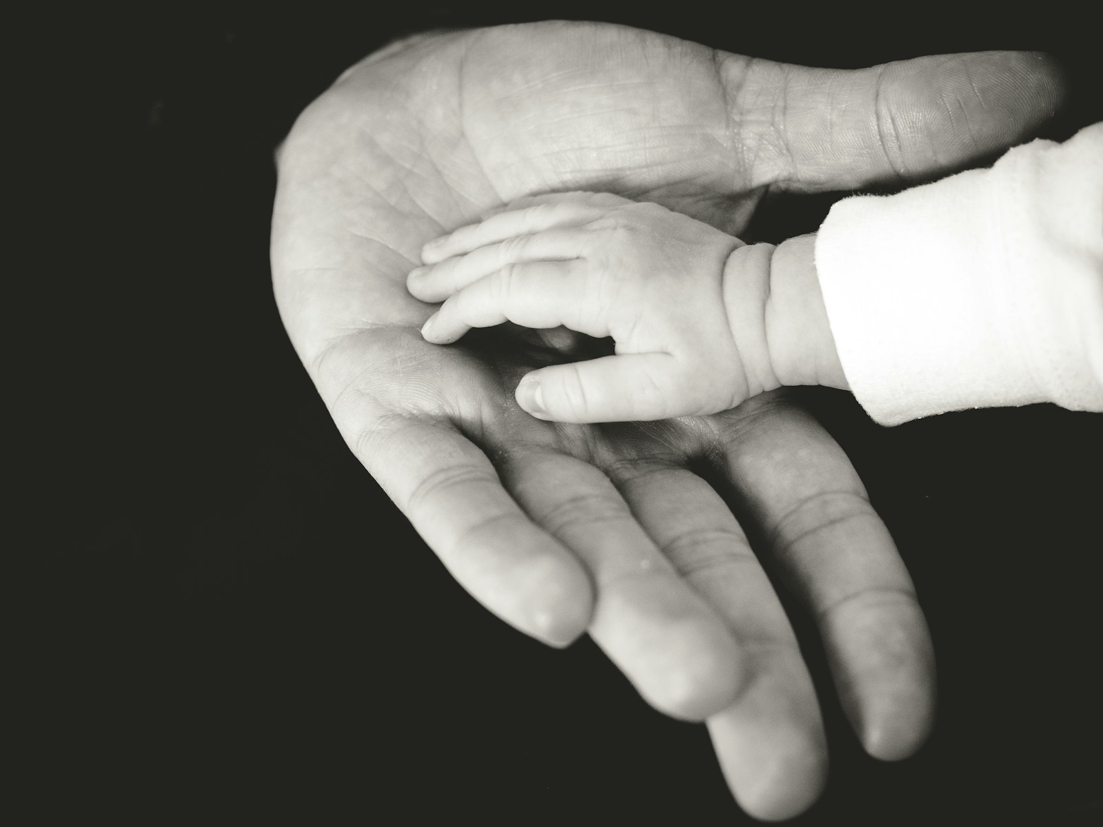Photo by Liane Metzler child and parent hands photography